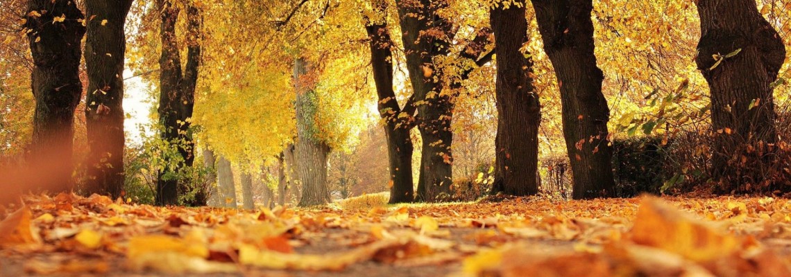 10 redenen om juist te gaan hardlopen in de herfst!